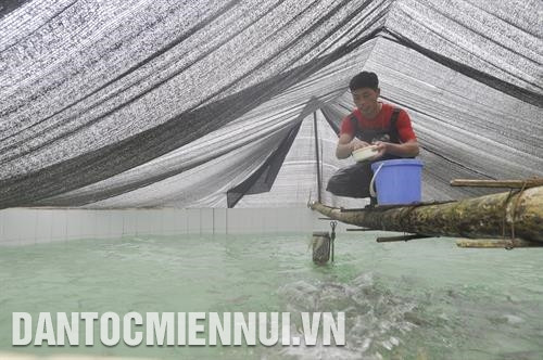 冷水鱼养殖业当地经济发展和扶贫济困工作做出积极贡献。记者 高香 摄