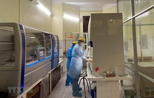 附图 ：新冠病毒样本检测工作。图自越通社