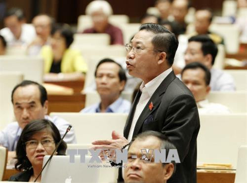 槟椥省国会代表刘平壤。越通社记者 文碟 摄