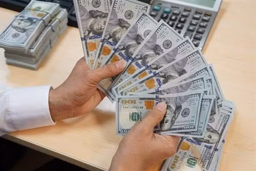 美元（图片来源：越通社）