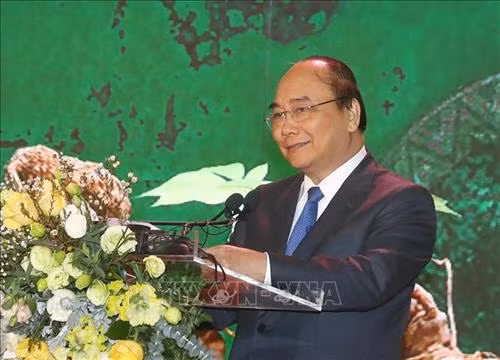 阮春福在会议上发表讲话。 图自越通社