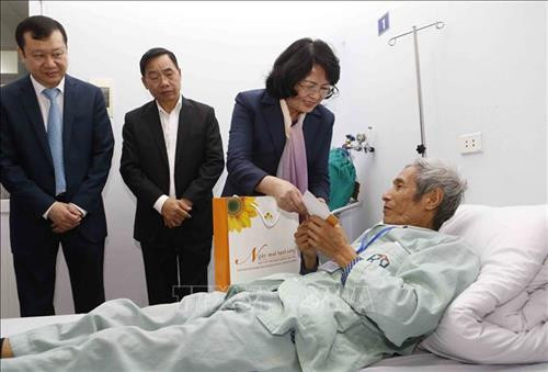 越南国家副主席邓氏玉盛向贫困癌症患者赠送年礼。图自越通社