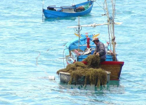 附图（图片来源：越通社）