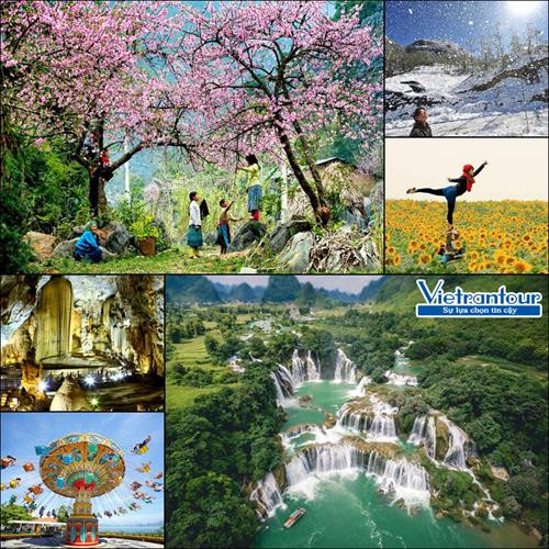 越南春节旅游市场步入旺季 。图自互联网