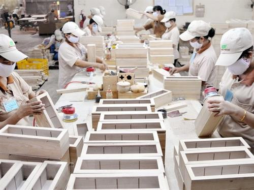 越南木材及木制品成功进入120个国家和地区。（图片来源：越通社）