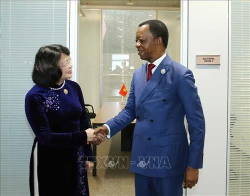 邓氏玉盛会见泛非议会主席罗杰·恩科多·丹。图自越通社