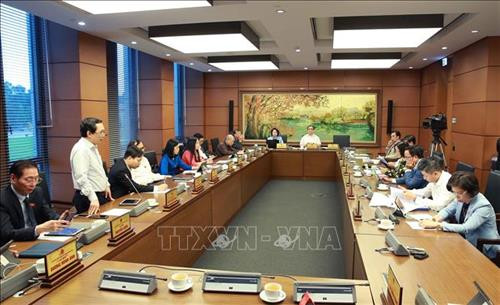 资料图：国会代表进行分组讨论。图自越通社
