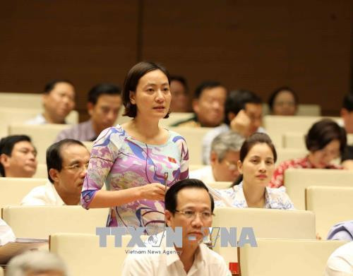 兴安省国会代表武氏月。（图片来源:越通社）
