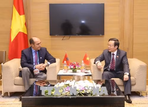 越南国会副主席冯国显（右）与摩洛哥参议院副议长穆罕默德·乌兹尼。（图片来源：越通社）