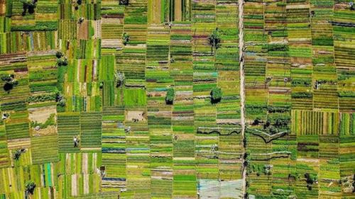 越南以气候类型丰富、美景分布广泛成为跻身全球九大最佳摩托车骑行旅游国名单的亚洲地区唯一的国家。图自互联网 越南以气候类型丰富、美景分布广泛成为跻身全球九大最佳摩托车骑行旅游国名单的亚洲地区唯一的国家。图自互联网