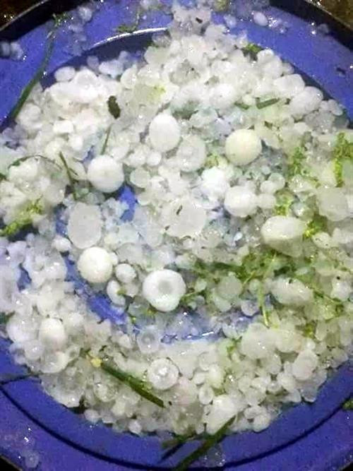 鸡蛋大小的冰雹。（图片来源：越通社）