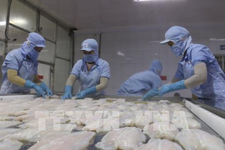 今年前几个月，水产品却大幅下降32.1%。图自越通社