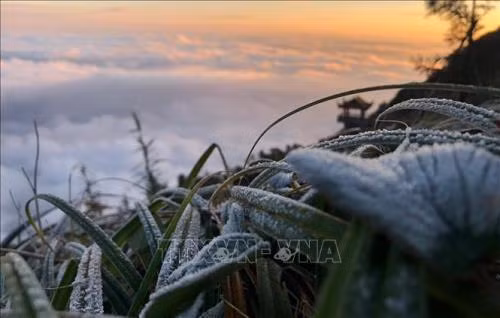沙坝镇大雾弥漫。图自越通社