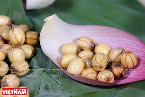 莲子糖水还有清热解毒、滋补身体、改善睡眠的作用。（图片来源：越南画报）