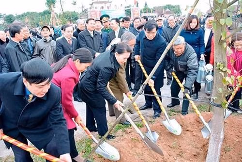 越南国会主席阮氏金银出席海阳省植树节启动仪式（图片来源：http://www.qdnd.vn）