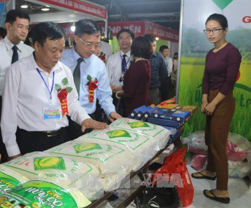 代表们参观展会上的产品。（图片来源：越通社）