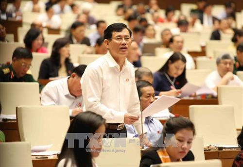 广平省国会代表郑玉方在会议上发表意见。（图片来源：越通社）