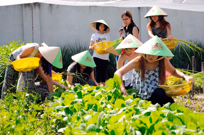 tphcm phat trien nong nghiep do thi gan du lich 2.jpg