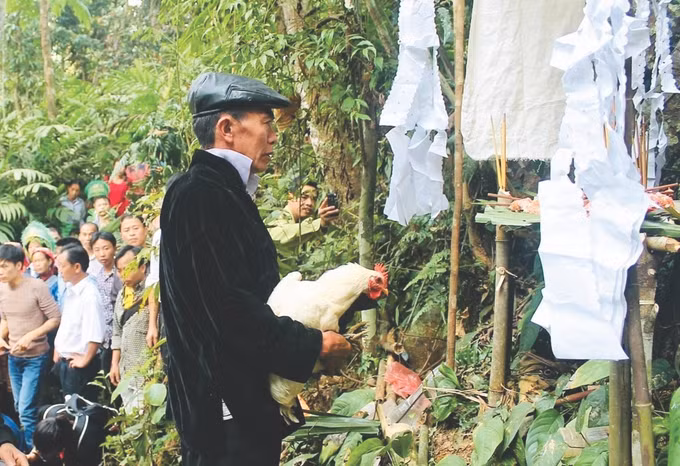 1-tet rung Na Hau-ttxvn phat.jpg