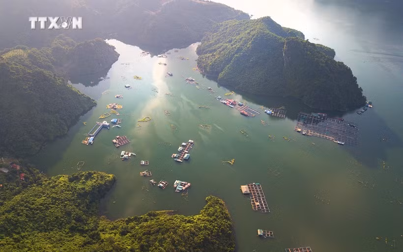 凭着清澈碧绿的湖水与雄伟壮丽的景观，和平水电站水库已成为游客不容错过的目的地。图自越通社