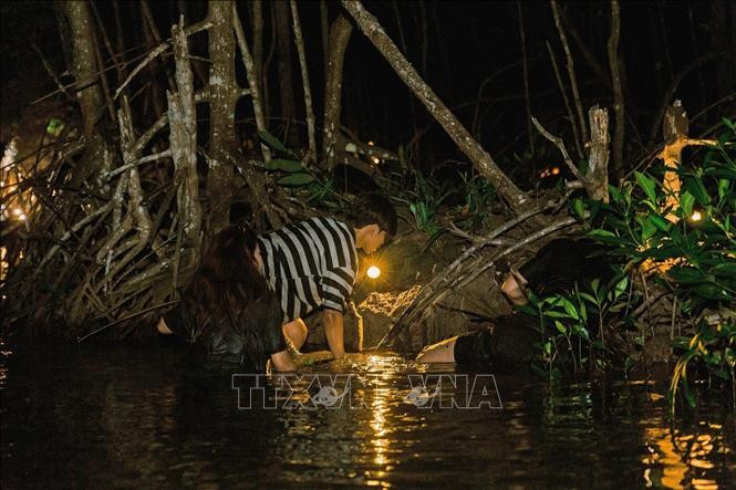 游客对与当地居民一同在红树林下捕捉海蟹的体验十分感兴趣。图自越通社