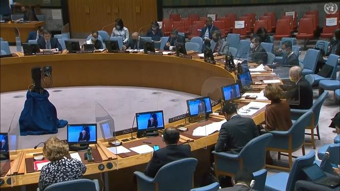 越南常驻联合国代表：各国应承担打击非法武器的责任