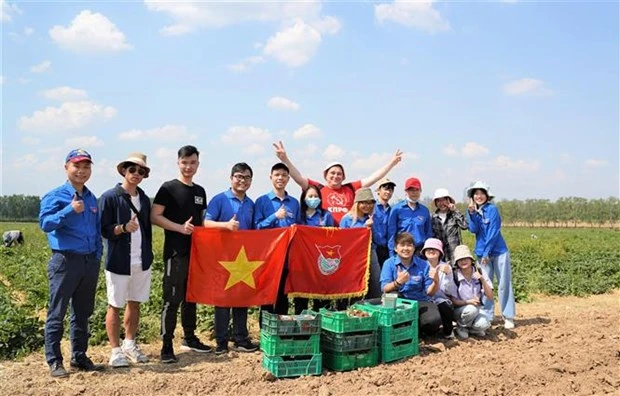 越南大学生积极参加俄罗斯莫斯科共产主义星期六义务劳动