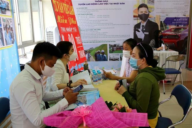 胡志明市为受疫情影响失业劳动者就业创造机会