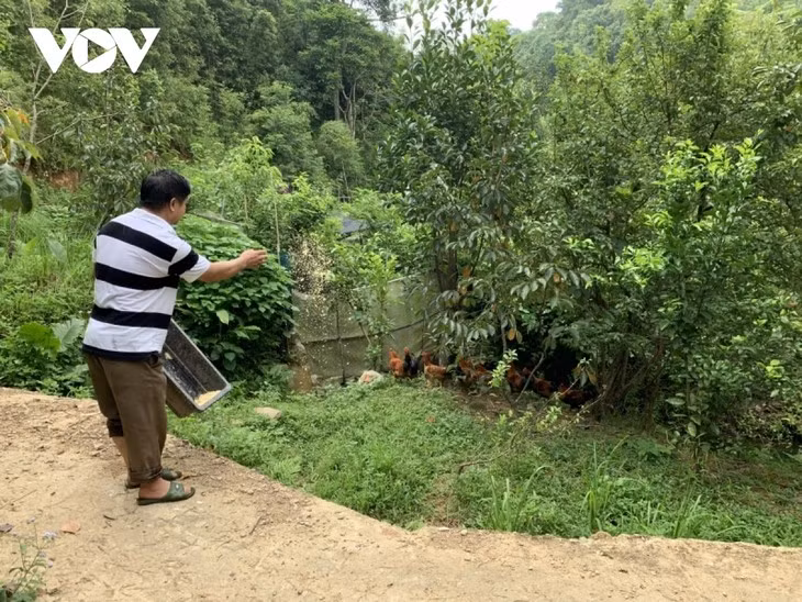 岱依族老农及其在祖国边境地区致富的渴望