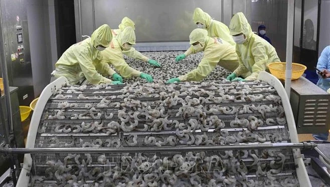 上半年经济发展情况：越南狠抓工作落实 努力实现“双重目标”