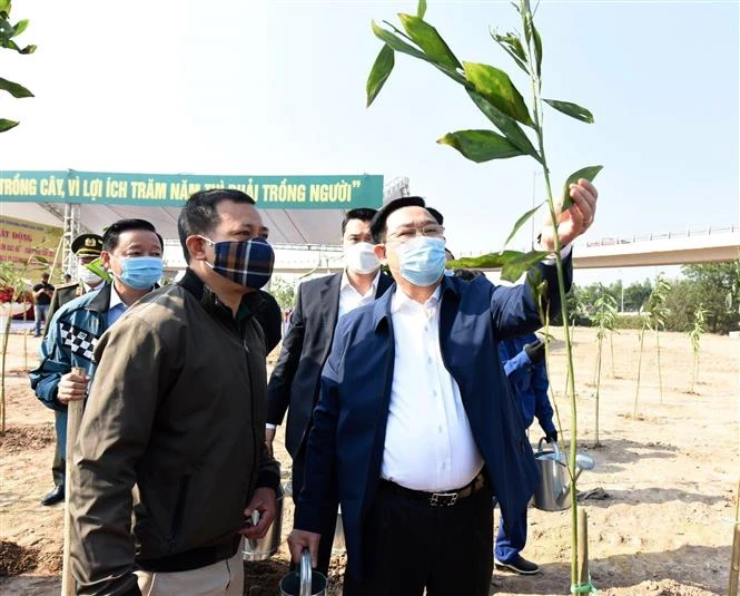 河内市启动2021辛丑年春季植树节活动