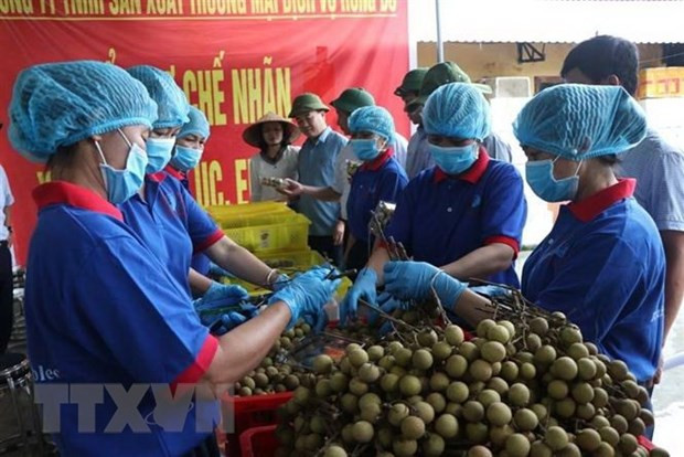 越南充分开发向澳大利亚的农产品出口潜力