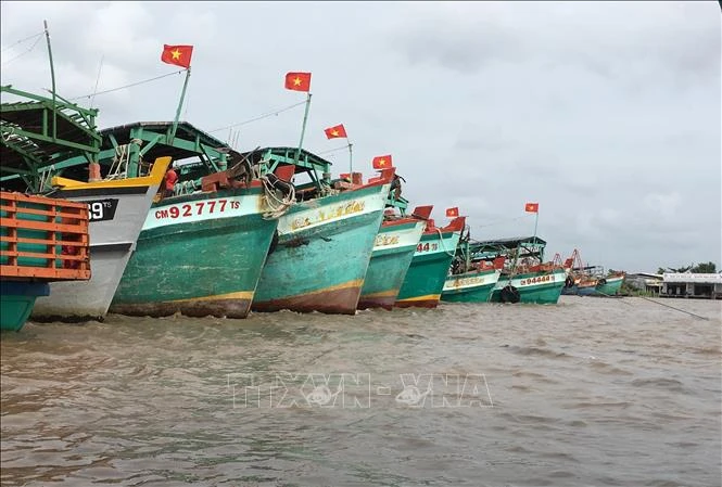 解除IUU“黄牌”警告：越南金瓯省完成渔船巡航监控设备安装工作