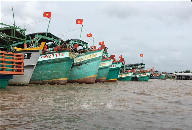 解除IUU“黄牌”警告：越南金瓯省完成渔船巡航监控设备安装工作