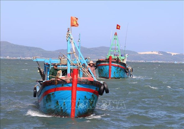 解除IUU“黄牌”警告：富安省切实做好教育宣传工作 现无违法违规渔船