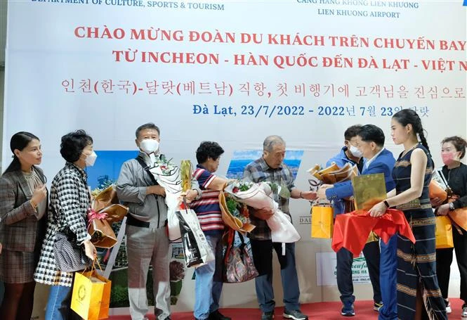 至林同省大叻市的国际航线恢复运营