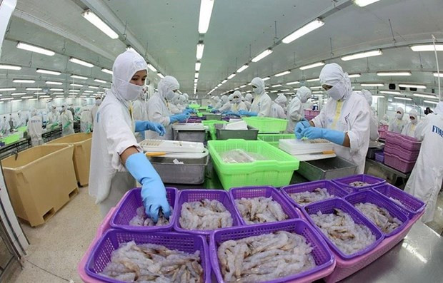 俄罗斯专家高度评价越南在亚欧一体化进程中的作用