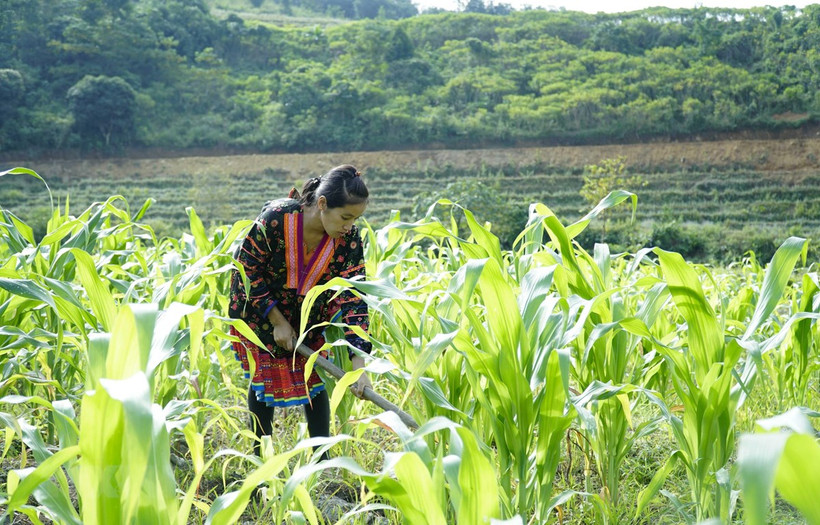 促进可持续扶贫政策有效落实