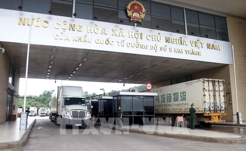 越南企业努力确保销往中国的水产品质量安全