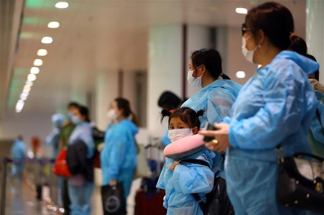 国际学者对越南人在疫情中的无私奉献和创新精神给予高度评价