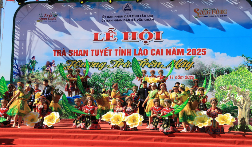 山雪茶叶节不仅发挥山雪茶树的价值，而且体现了老街省在提升山雪茶品牌价值的决心。图自越通社