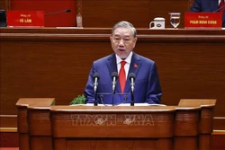 苏林总书记代表越共第十三届中央委员会作关于提交第十四次全国代表大会文件的报告。图自越通社