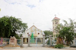 敏贵教区洋溢着热闹的圣诞节气氛。图自越通社