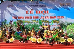 山雪茶叶节不仅发挥山雪茶树的价值，而且体现了老街省在提升山雪茶品牌价值的决心。图自越通社