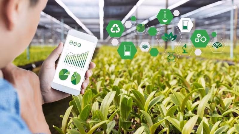 加速技术应用 为越南农产品“插上翅膀”