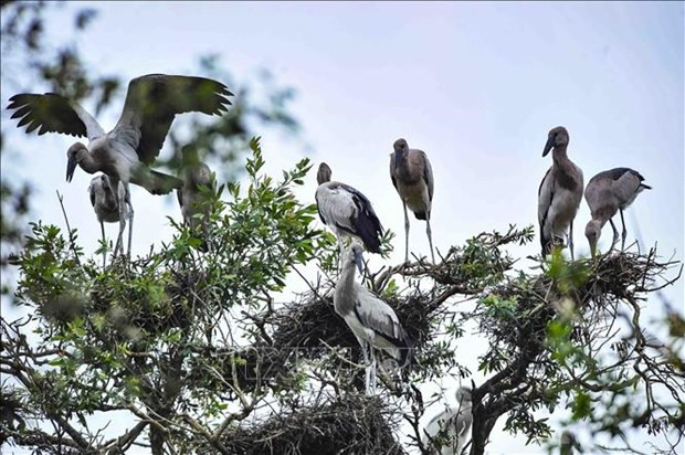 越南生物多样性位居世界16位