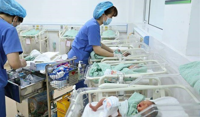 12·26越南人口日：提高人口质量 促进经济可持续发展