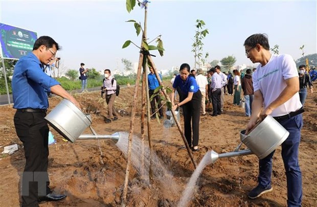 胡志明市启动城市植树活动 实施“百万棵树——绿色越南”计划