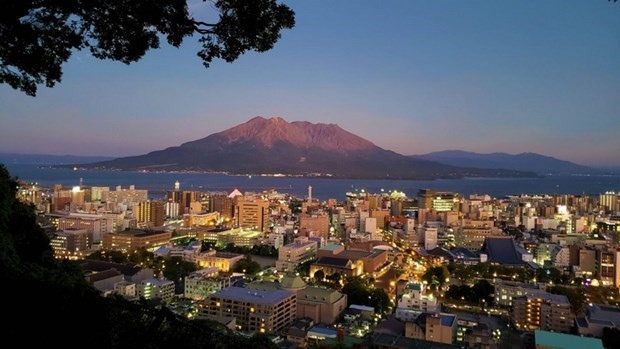 加强越南与日本九州各地方和企业之间的对接沟通