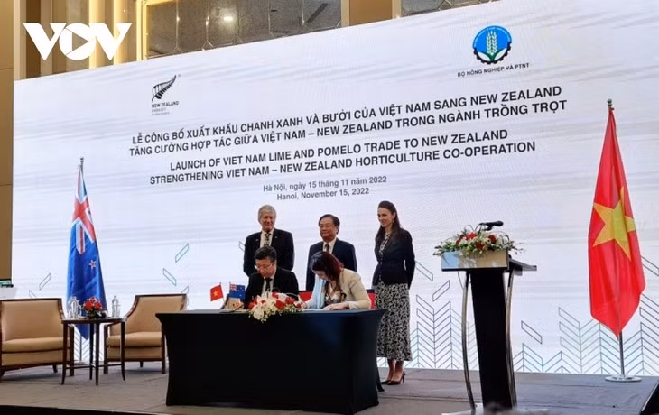 越南柚子和柠檬获准出口到新西兰市场